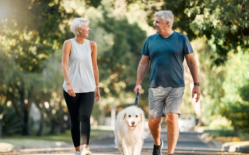 a man and a woman walking a dog on a leash